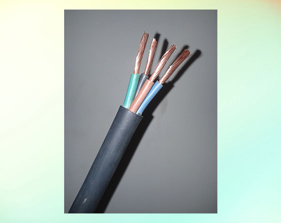 Rubber Round Cable 10